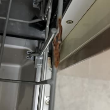 Franke Bulaşık Makinesinde Şiddetli Paslanma Ve Parça Kopması