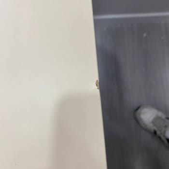 Masko Alfemo’da Geciken Teslimat, Eksik Ve Hasarlı Ürünler Ve İade Hakkının Reddedilmesi