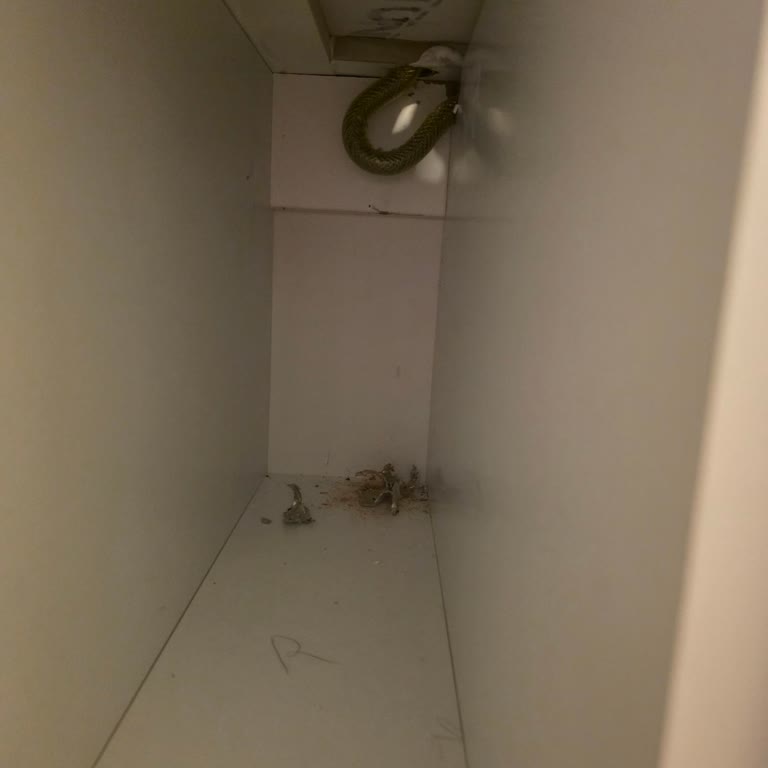 Flexi Gaz Borusunun Yanlış Montajı Nedeniyle Güvenlik Riski Ve Değişim Talebi