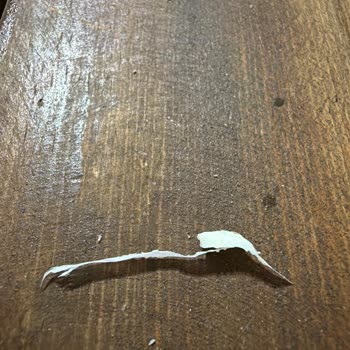 Ambalajlı Tulum Peynirinde Naylonumsu Yabancı Madde Ve Sağlık Riski