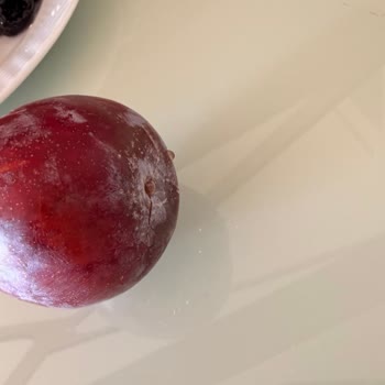 Klimadan Su Sızıntısı Nedeniyle Yaralanma Ve Otel-Tur Şirketinin İlgisizliği