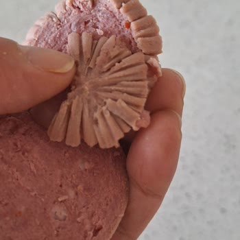 Tarihinden Önce Bozulmuş Pınar Kahvaltılık Macar Salamı