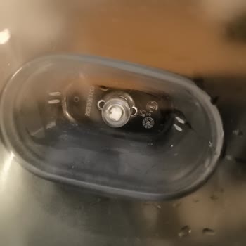 Brita Sürahide Yosunlaşma Sorunu Ve Çözüm Talebi