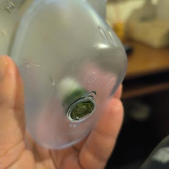 Brita Sürahide Yosunlaşma Sorunu Ve Çözüm Talebi