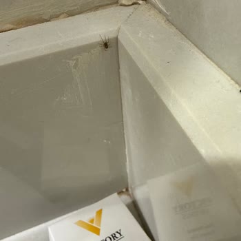 Victory Volare Hotel Böcekli Oda, Çocuk Isırığı Ve İlgisiz Personel Nedeniyle Büyük Mağduriyet