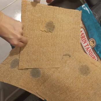 Morarmış Lavaşlar Ve Gıda Güvenliği Endişesi