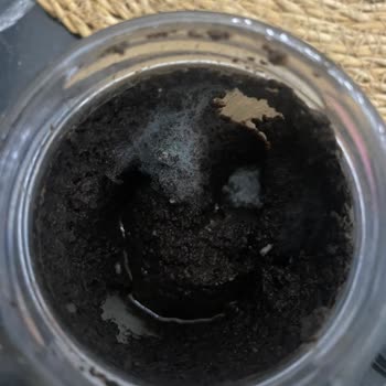Son Kullanma Tarihli Zeytin Ezmesinde Küf: Sağlık Endişesi Ve İade Talebi