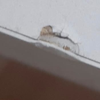 Eksik Ve Hasarlı Mobilya Teslimatı, Sürekli Ertelenen Çözüm Sözleri