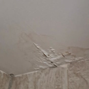 Ortak Alandan Su Sızıntısı Ve Elektrik Tehlikesi İçin Acil Onarım Ve Müdahale Talebi