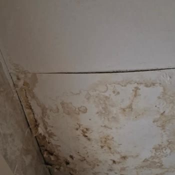 Ortak Alandan Su Sızıntısı Ve Elektrik Tehlikesi İçin Acil Onarım Ve Müdahale Talebi