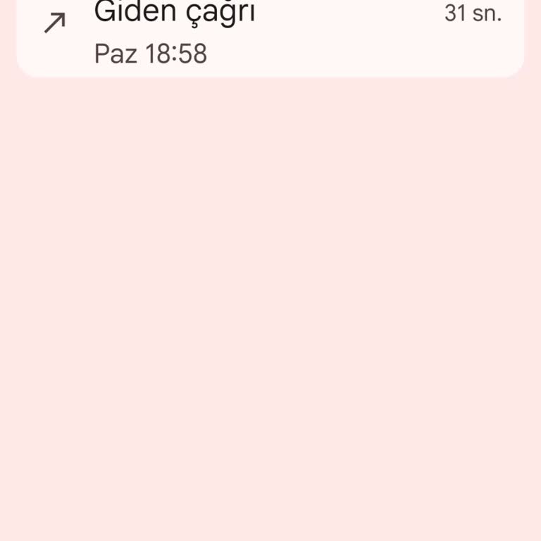 Kurulum Bilgilendirmesi Yok, Müşteri Hizmetleri Cevapsız, Üyelik İptali Talebi
