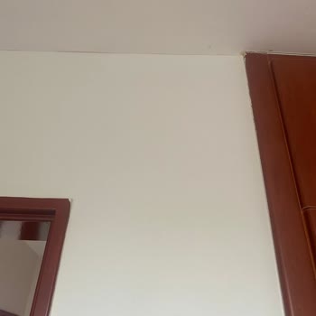 Polisan Bulut Boyasında Gri Renk Beklenirken Lila Tonu Çıktı