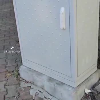 BTK Türk Telekom Fiber Altyapı Çok Daireli Binada Oturuyorsanız Var
