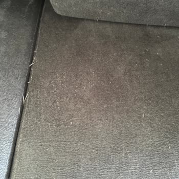 Kedi Dostu Kumaş İddiası Yanıltıcı, Koltukta Hasar