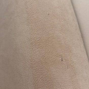 İddia Edilen Pati Dostu Koltuk Kısa Sürede Yırtılma Ve Aşınma Gösterdi