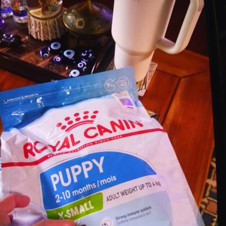 N11'den Yırtık Ve Tarihsiz Köpek Maması Şikayeti