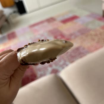 Karamel Sosu Olmadan Gelen Dondurma Etiketi Yanıltıyor