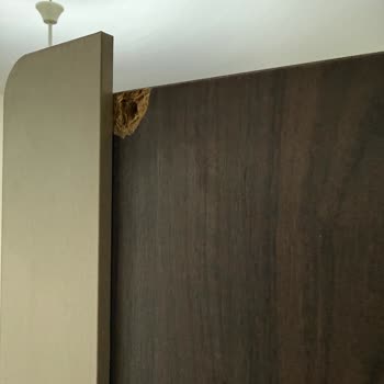 Kırık Parçalar Ve Uzun Teslimat Gecikmesi Düğün Öncesi Stres Yaratıyor