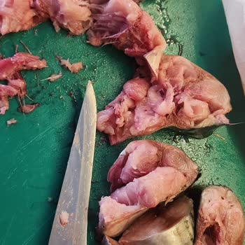 Migros Palamut Balığı Kalitesiz, İade Ve Tazminat Talebi