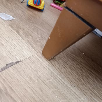 Taşıma Sırasında Koltuk Hasarı Ve Tazminat Talebi