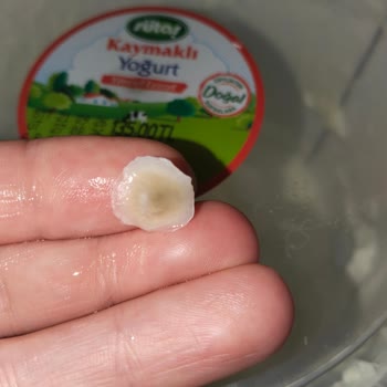 Sütas Kaymaklı Yoğurtta Plastik Benzeri Yabancı Madde