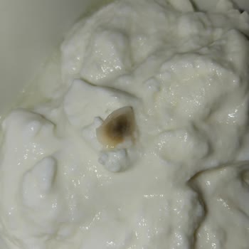 Sütas Kaymaklı Yoğurtta Plastik Benzeri Yabancı Madde