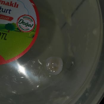 Sütas Kaymaklı Yoğurtta Plastik Benzeri Yabancı Madde