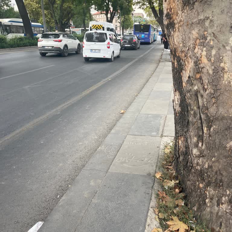 Şoför Durağa Durmayıp Yolcuyu Bilinmeyen Bir Noktada Bıraktı