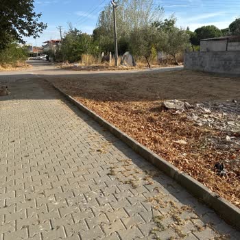 Altınova Tuna Sokağındaki Yeşil Alan İhmal Edildiği İçin Görüntü Kirliliği Şikayeti