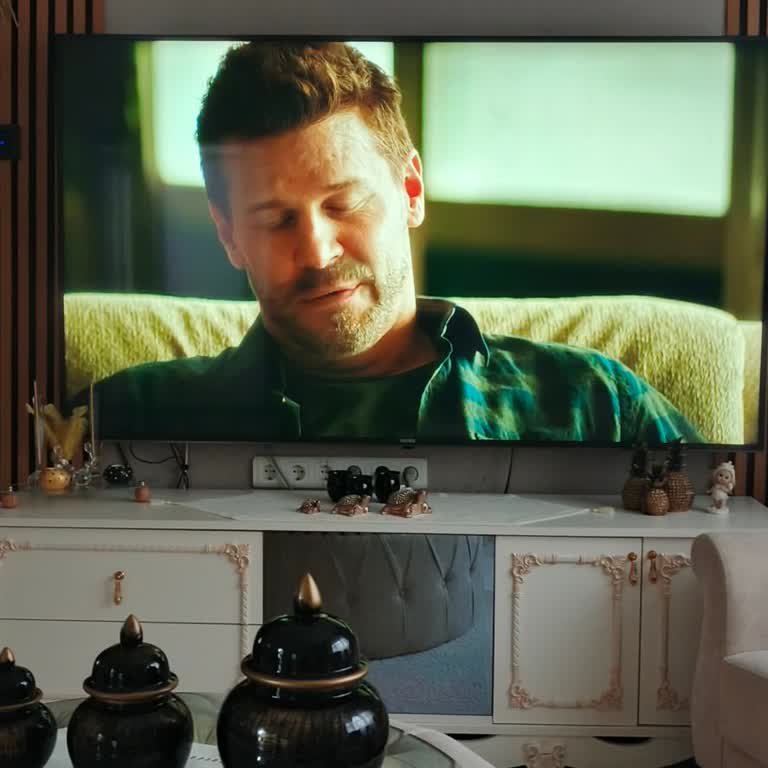 Netflix Donması Nedeniyle Vestel 75U9500 TV Cevap Vermiyor
