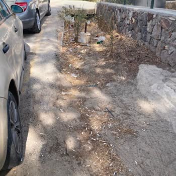 4250. Sokak Ve Atatürk Caddesi Temizlik İhmali Halk Sağlığını Tehdit Ediyor