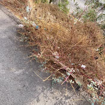 4250. Sokak Ve Atatürk Caddesi Temizlik İhmali Halk Sağlığını Tehdit Ediyor
