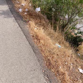 4250. Sokak Ve Atatürk Caddesi Temizlik İhmali Halk Sağlığını Tehdit Ediyor