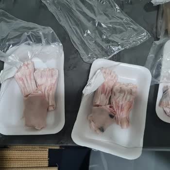 4 Dana Paça Ücreti Ödedim, 3 Adet Teslim Edildi Ve Destek Yok