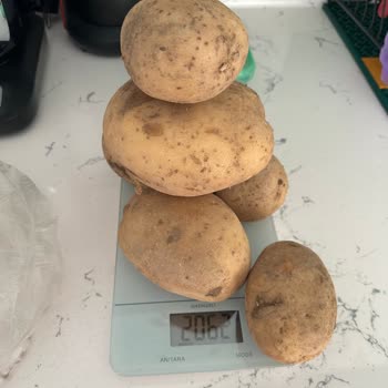 Patates Eksik Gönderildi Ve Müşteri Hizmetleri Yetersiz Kaldı