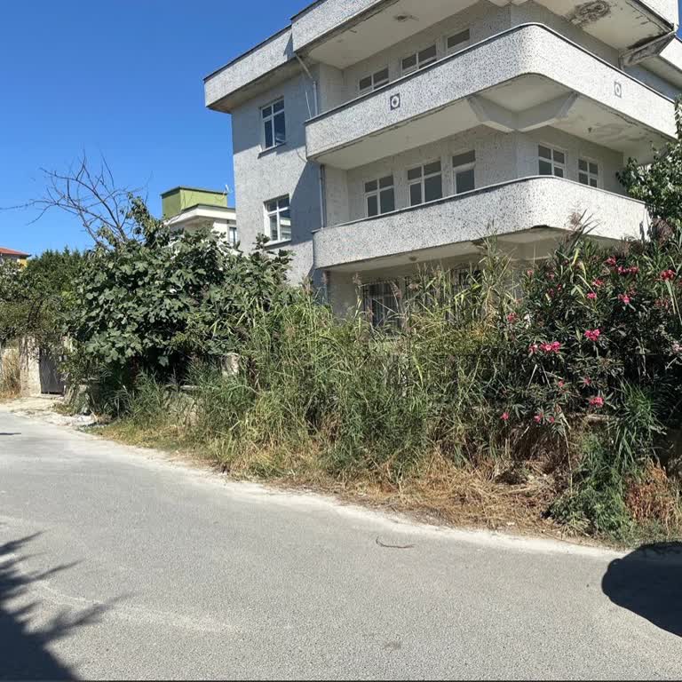 Büyükçekmece'de Yol Kenarındaki Otlar Temizlenmedi, İşlem Tamamlandı