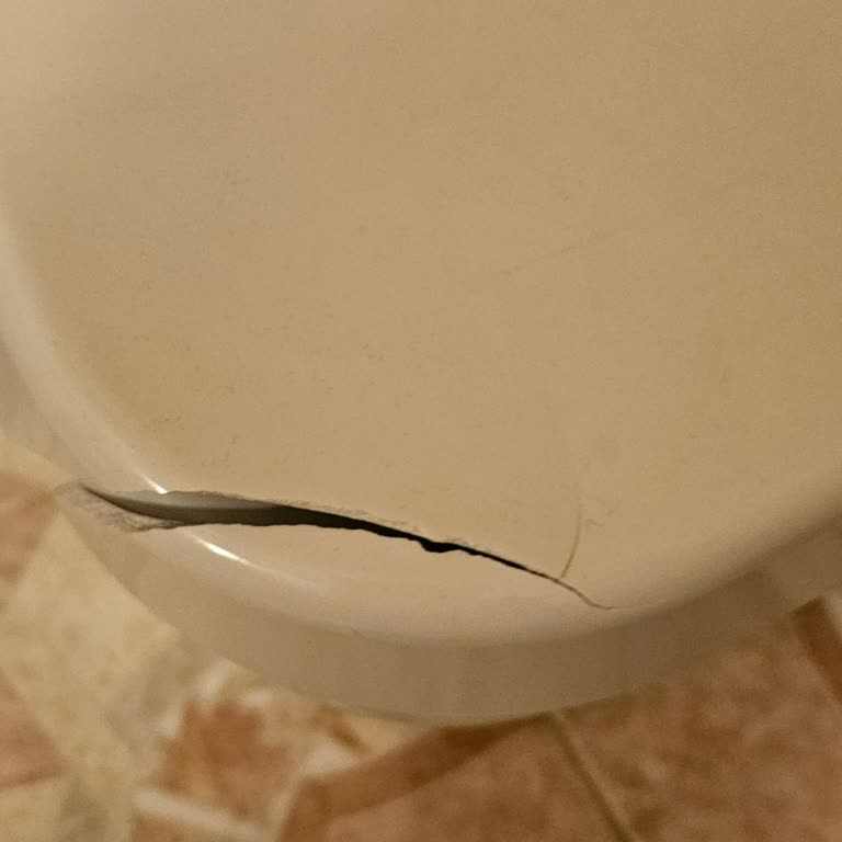 Sifon Sıkışması Ve Kapağın Kırılması Sebebiyle Sürekli Su Kaçağı Ve Artan Faturalar