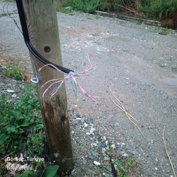 Kopuk Telefon Hattı Ve İnternet Kesintisi İçin Acil Onarım Talebi