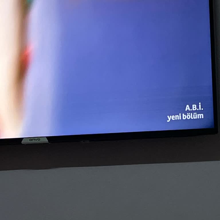 Garanti Dışı Ekran Çizgileri Nedeniyle Onvo Televizyonun Ücretsiz Onarımı Talep Ediliyor