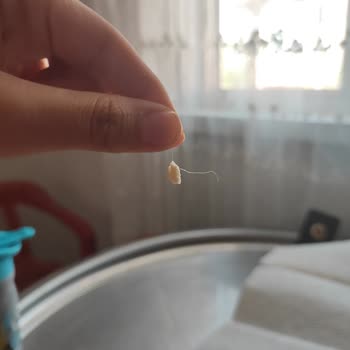 Şavak Peynircilik Ürünün İçinde Kıl Olması