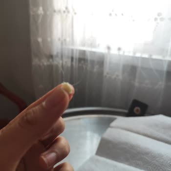 Şavak Peynircilik Ürünün İçinde Kıl Olması