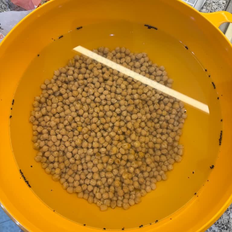 Koçbaşı Nohutta Böceklenme Ve Gıda Güvenliği Sorunu