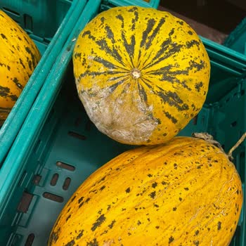 Bursa Şok Market’te Manav Reyonunda Çürük Ürünler Ve Hijyen İhlali