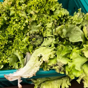 Bursa Şok Market’te Manav Reyonunda Çürük Ürünler Ve Hijyen İhlali