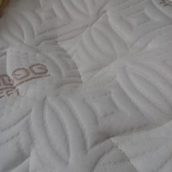 Bambi Bamboo Yatakta Çürüyen Başlık Ve 2 Yıllık Garanti Sorunu