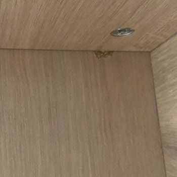 Teslimat Gecikmesi Ve Hasarlı Mobilyalar Nedeniyle Tam İade Talebi