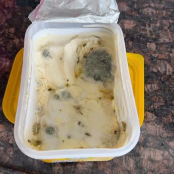 Profilo XL Buzdolabım Soğutmuyor, Gıda İsrafı Ve Tam Değişim Talebi