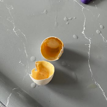 Beypiliç Yumurtasında Çürüme Ve Kötü Koku: Kontrol Ve Geri Dönüş Talebi