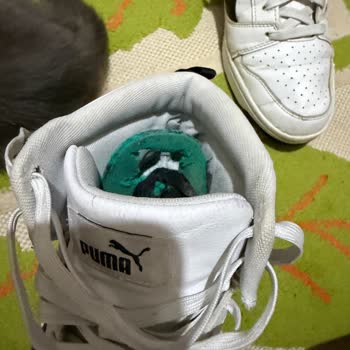 Ayakkabı Dünyası'nda Puma Ayakkabısının Kısa Sürede Parçalanması Ve Red Kararı