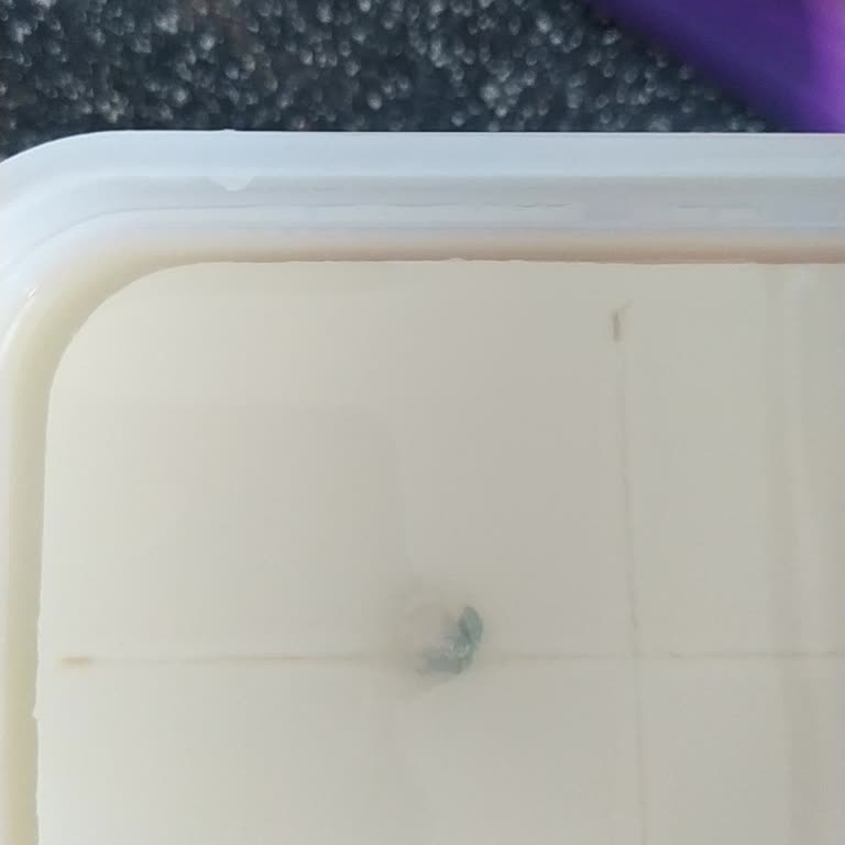 Küflü Süzme Peynir Sağlık Riski Ve Güven Sarsıntısı